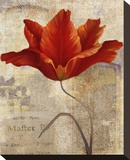 Red Masterpiece I