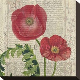 Poppy Pages Square II