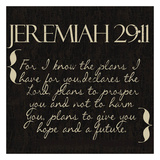 Jeremiah 29-11