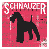 Schnauzer