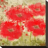 Red Poppies