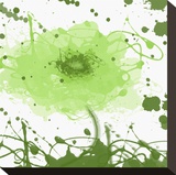 Green Dream