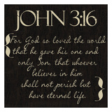 John 3-16