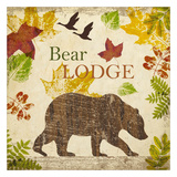 Bear Lodge