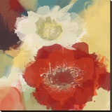 Blooming Flowers
