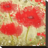 Abstract Red Poppy Trio