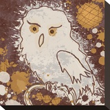 Owl I