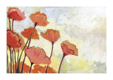 Poppies in Cream