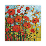 Red Poppy Field