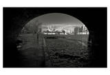 Through the Eyes of Paris