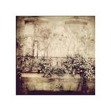 Window Garden