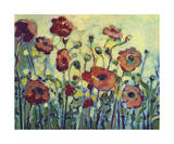 Anita’s Poppies