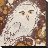 Owl II