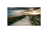 The Boardwalk