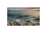 The Beloved Coast