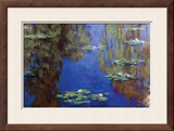 Monet - Water Lilies
