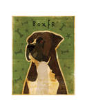 Boxer (Brindle)