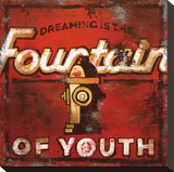 Fountain Of Youth