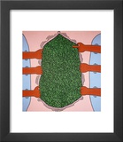 Untitled  1985
