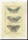 Butterfly Ephemera II