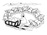Eskimo on dog sled; the dogs are running around in a circle and are coming… - New Yorker Cartoon