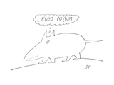 Drawing of possum-like animal out of whose heads come the words 'ergo p… - New Yorker Cartoon