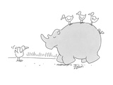 Birds riding on rhino Other bird hitching a ride with thumb out - Cartoon