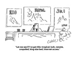 "Let me see if I've got this—tropical  lush  remote  unspoiled  king-size …" - Cartoon