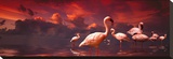 Flamingo Sunset