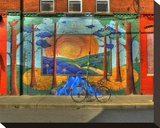 Wall Painting with Bike