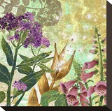 Foxglove Meadow II