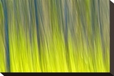 Tree Abstraction VI