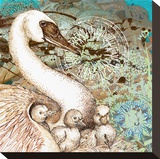 Swan Splash