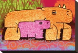 Rhinos