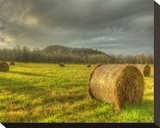 Bales of Hay