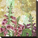 Foxglove Meadow I