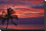 Morning Twilight Magic
