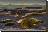 Stovetop Dunes  Death Valley
