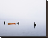 Lake Quinault Fog