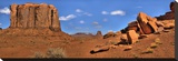 Monument Valley North Widow