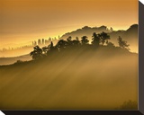 Tuscan Silhouette Landscape