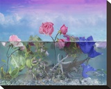 Roses in the Water Garden