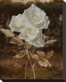 Oceanic Roses
