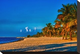 Smathers Beach