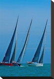 Sailboat Racing