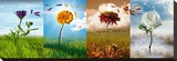 Natures Cycle