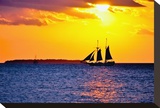 Majestic Sail