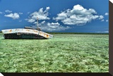 Ship Recked in Paradise