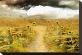 Paved with Gold