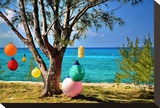 Christmas on Crooked Island